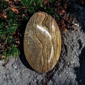 Picture Jasper Cabochon 54.3mm x‎ 34.1mm x 6.6mm 91.0 CT
